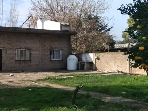 Francisco Miranda 2000