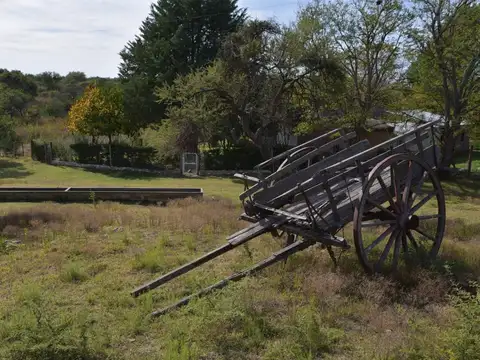 Campo - Venta - Argentina, La Florida