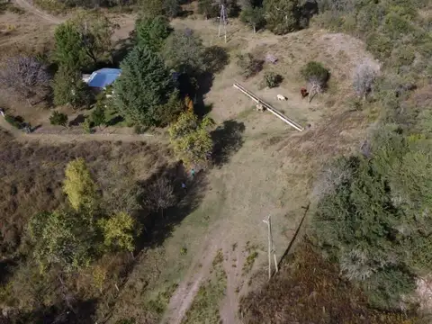 Campo - Venta - Argentina, La Florida