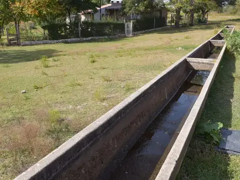 Campo - Venta - Argentina, La Florida