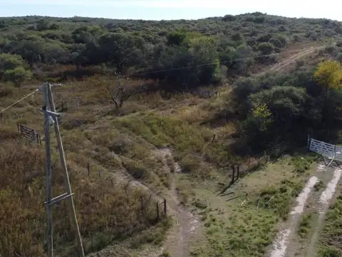 Campo - Venta - Argentina, La Florida