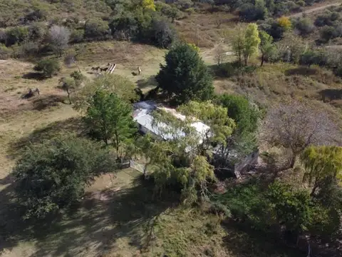 Campo - Venta - Argentina, La Florida