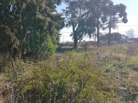 Terreno en Venta en Lisandro Olmos Etcheverry, USD 150.000
