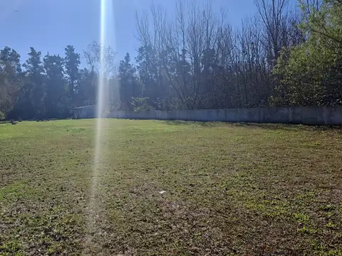 Terreno en Alquiler de 2500,0 m2