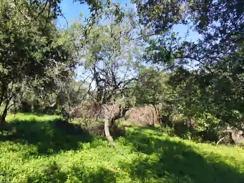 Terreno en Venta de 795,0 m2