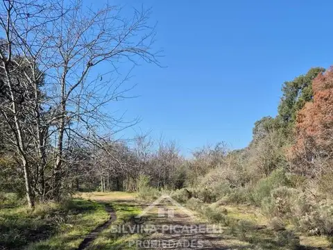 Terreno Campo  en Venta en Open Door, Luján, G.B.A. Zona Oeste
