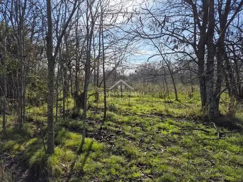 Terreno Campo  en Venta en Open Door, Luján, G.B.A. Zona Oeste