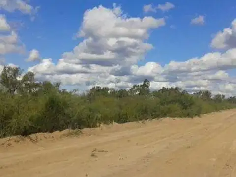Campo en venta - 10.700 Hectáreas - La Rioja