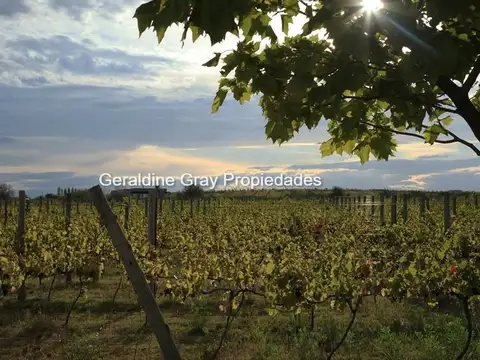 Terreno en Venta 40  mts Frente