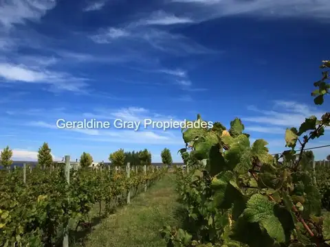 Barrio privado La Península, Lago 100