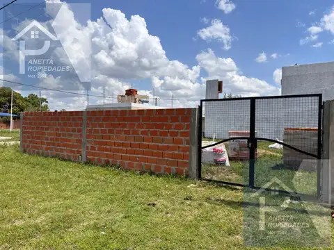 Los lirios