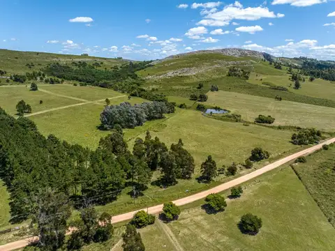 Chacra de 20 has. en venta en Laguna del Sauce 100