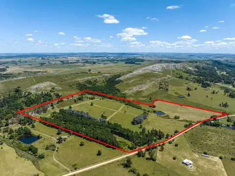 Chacra de 20 has. en venta en Laguna del Sauce