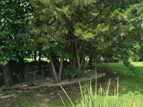 Casa en Venta 6 años