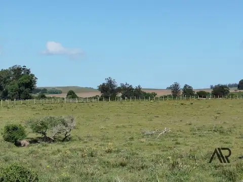 Oportunidad: Chara 5.4 de hectareas, en Ruta 104/Manantiales/Maldonado