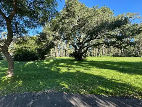 Excelente Terreno lote Central