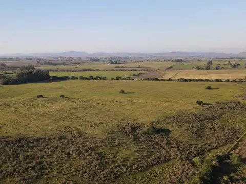 Campo de 38 ha en Solis de Mataojo