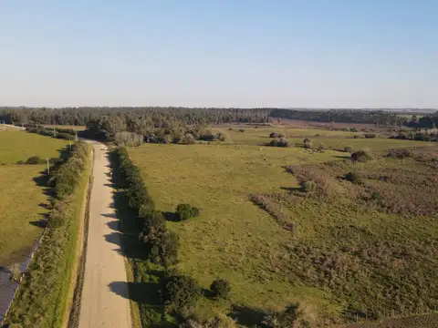Campo de 38 ha en Solis de Mataojo