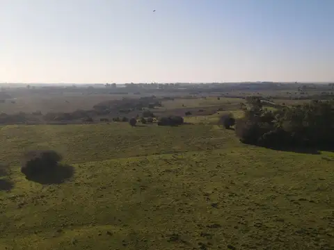 Ruta 8 y camino vecinal