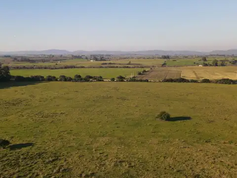 Campo de 38 ha en Solis de Mataojo