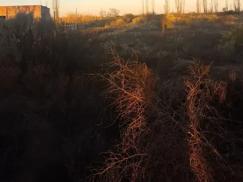 LOTES 2000M2 EN VILLA ANTIGUA, LA PAZ