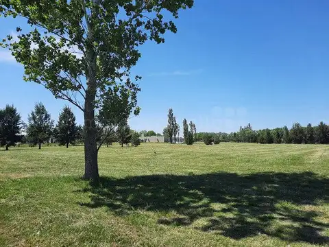 Terreno en Venta 63,78  mts Frente