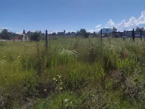 LOS ESPINILLOS, POTRERO DE GARAY