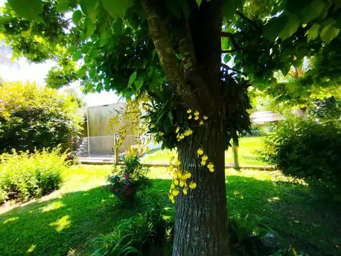 Casa 2 ambientes con 1 baño