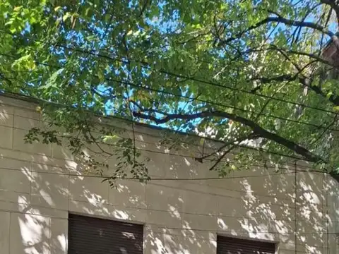 CASA DE CUATRO DORMITORIOS EN ALQUILER EN LA PLATA