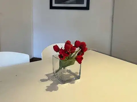 Departamento en Alquiler 15 años