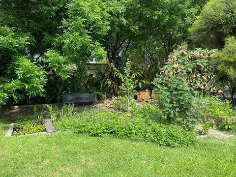 Alejandro Vitale 500