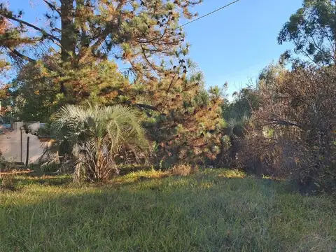 Terreno en Venta 242  mts Fondo
