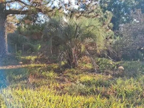 Terreno en Venta en Osvaldo Magnasco, USD 25.000