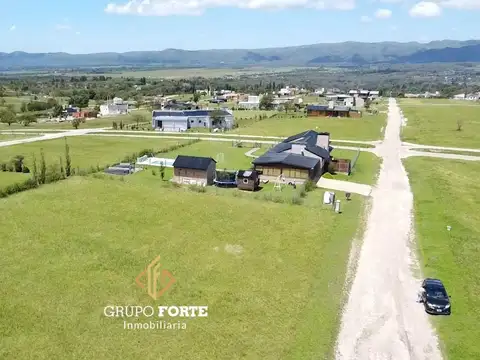 Lote 21