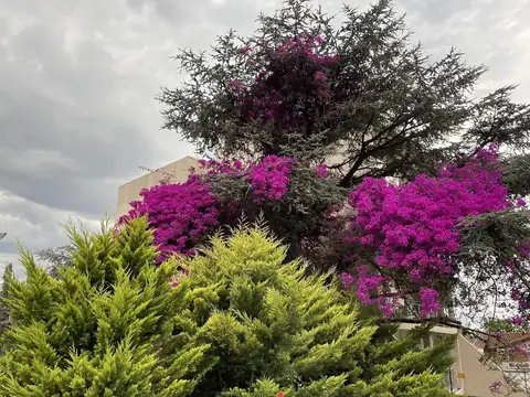 Casa 7 ambientes con 2 baños