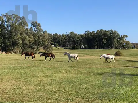 Chacras del Parana  16