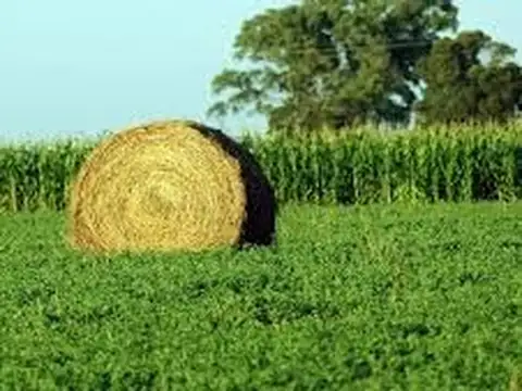 Campo en Venta de 6.000  ha