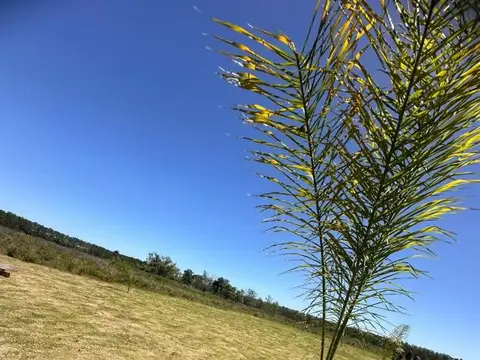 Rio Parana De Las Palmas