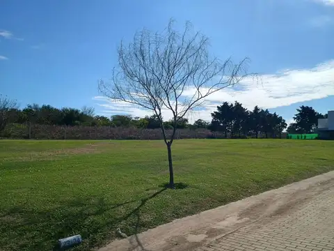 Terreno en Venta de 579,0 m2