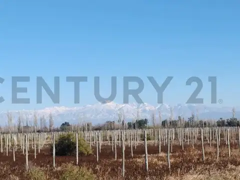 FINCA EN VENTA EN JUNIN