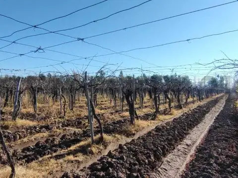 casares y carril centro , Piso 0