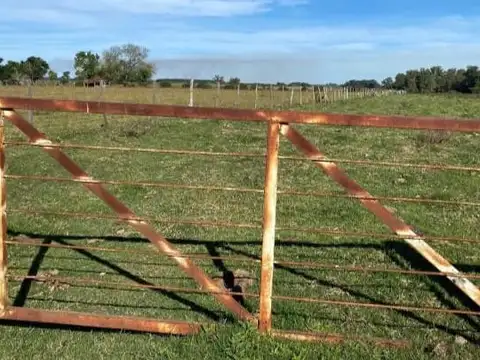 Campo en General Campos