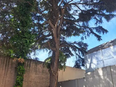 LACROZE 3800 - CHACARITA - 3 AMB. C/ GRAN PATIO/JARDÍN !...