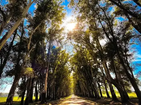 Terreno en Venta de 3370,0 m2