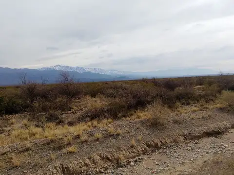 VENTA TERRENO DE 2,5Ha, PAREDITAS, SAN CARLOS MZA