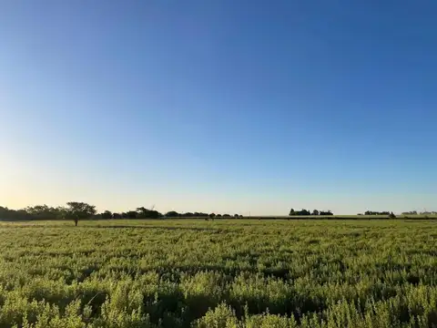 Corrientes