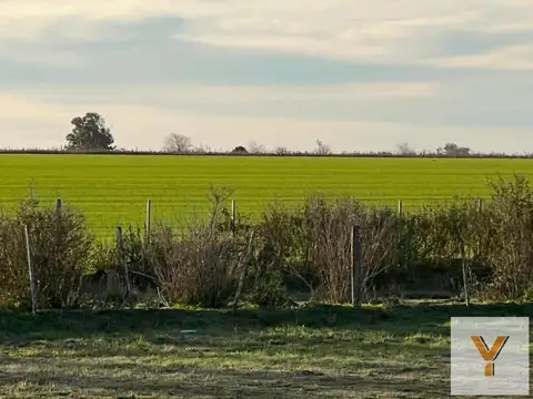 Terreno en venta - 10.000Mts2 - San Antonio de Areco