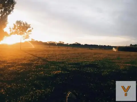 Terreno en Venta de 10000,0 m2