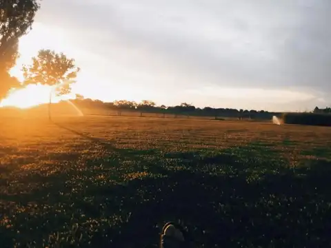 Terreno en Venta de 10000,0 m2