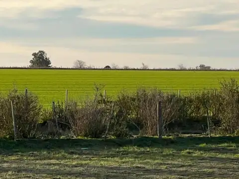Terreno en venta - 10.000Mts2 - San Antonio de Areco